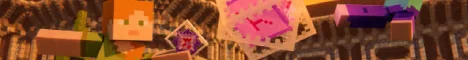 BagelSMP banner