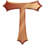 Torrent Network icon
