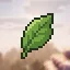 Matcha Flavoured SMP icon