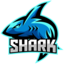 Sharkcraft server icon