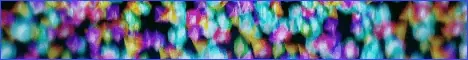 DuckySMP banner