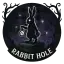 Rabbite Hole server icon