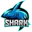 Sharkcraft server icon
