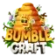 BumbleCraft server icon